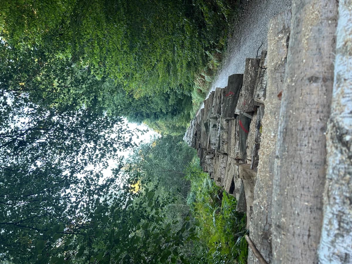 Bois du chauffage
