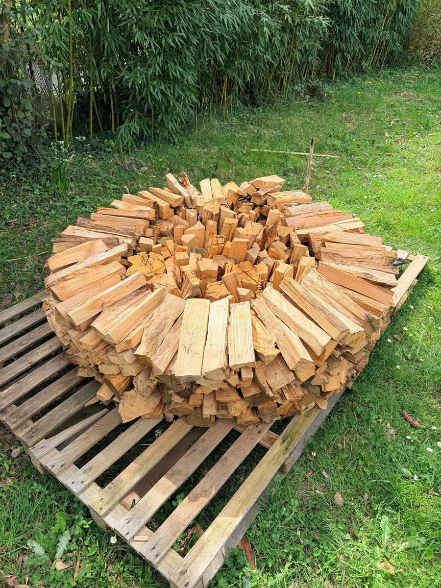 Tas de bois empilé pour sécher à l'air libre, sur palette