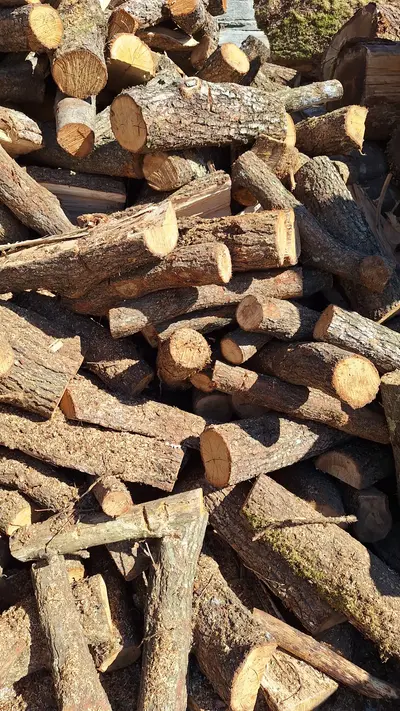 Bois de Chêne