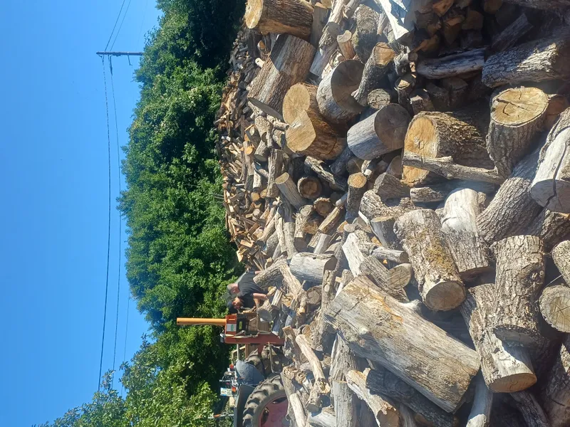 Bois de chauffage Chêne 50 cm fendu – Livraison possible dans le Cher (18)