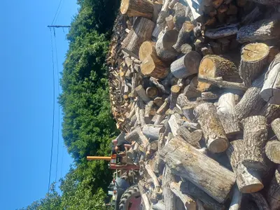Bois de chauffage Chêne 50 cm fendu – Livraison possible dans le Cher (18)