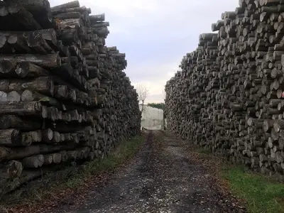 Vente de bois de chauffage dans le 27-60-76-78-95