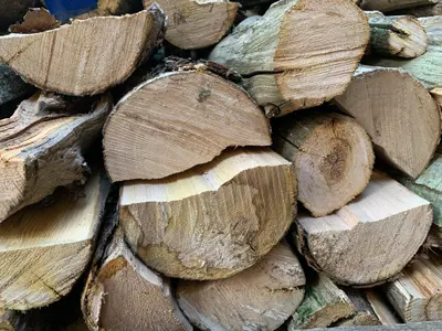 Bois de chauffage sec livraison gratuite