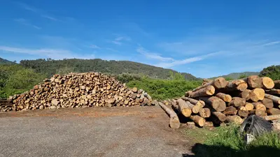 Bois de chauffage plusieurs dimension possible