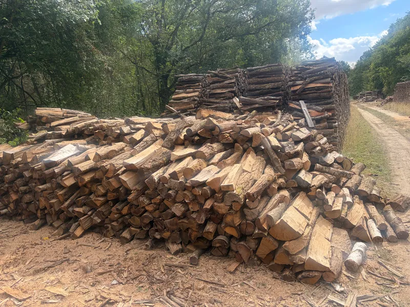 Bois de chauffage sec - Livraison gratuite