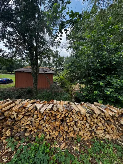 Chêne et hêtre sec 50 cm